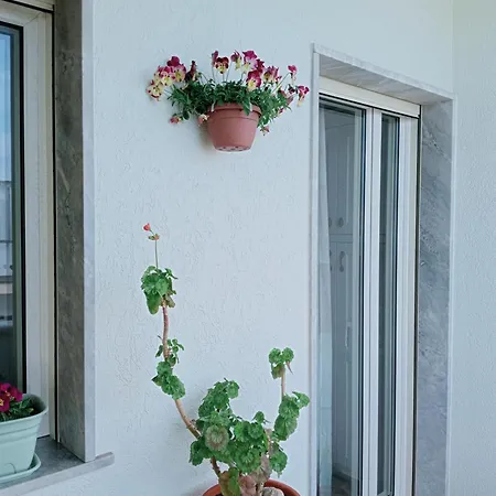 Le Stanze Colorate Di Appartement *
